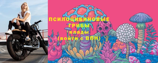 амф Верея
