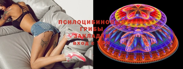 амф Верея