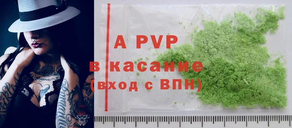 амф Верея