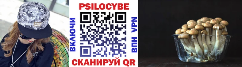 Псилоцибиновые грибы ЛСД закладки Лыткарино